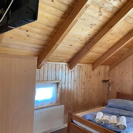 Apuseni Holiday home *